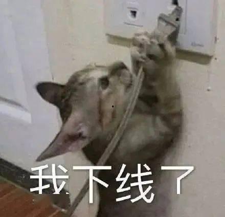 头带丝袜表情包,表情包中的时尚潮流